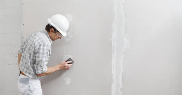 Best Asbestos and Lead Testing During Mold Inspection  in Fort Pierre, SD